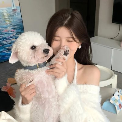 当穿越女遇上重生太子妃